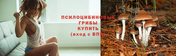 трава Медногорск