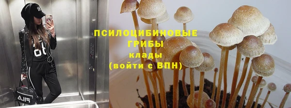 трава Медногорск