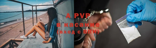 альфа пвп Медвежьегорск