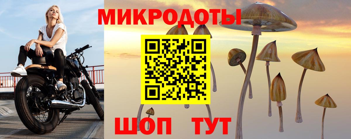 Минусинск  Псилоцибиновые грибы мицелий  Вход с VPN 